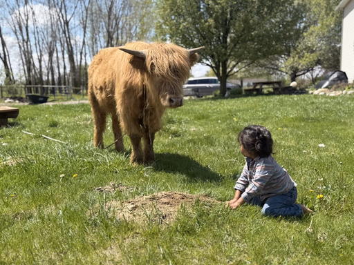 CBkfVN3KvqIMxoRfVwBiiTATNE